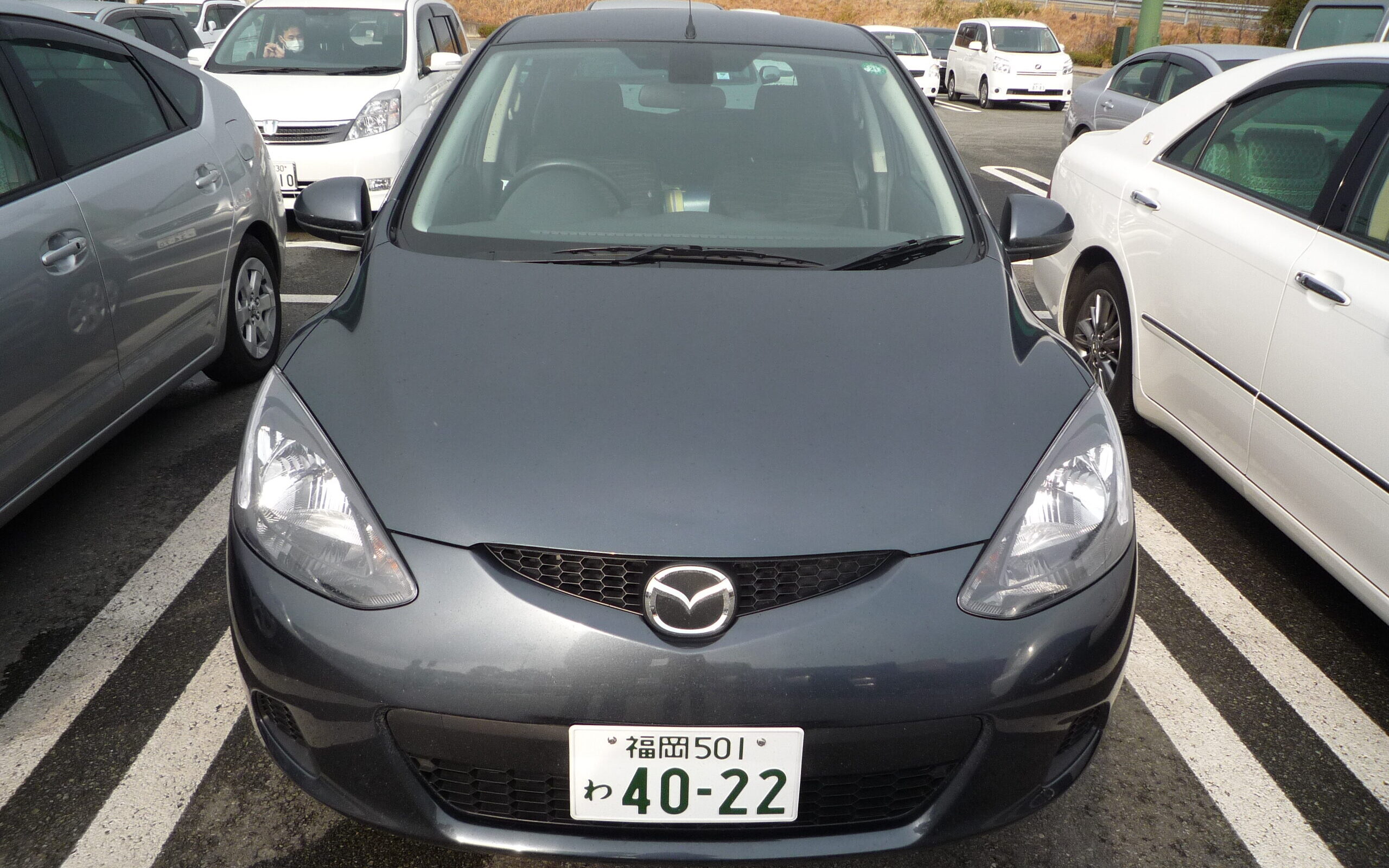 Car Rental